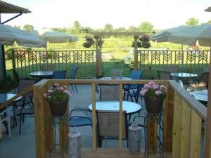 Bright flowers and verdant vineyards!