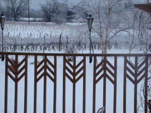 Ice - but not Ice Wine!
